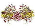 Miniatura para Di-hidro-orotase