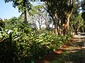 7Bangkal Abucay Palili Samal, Bataan Roads 26.jpg
