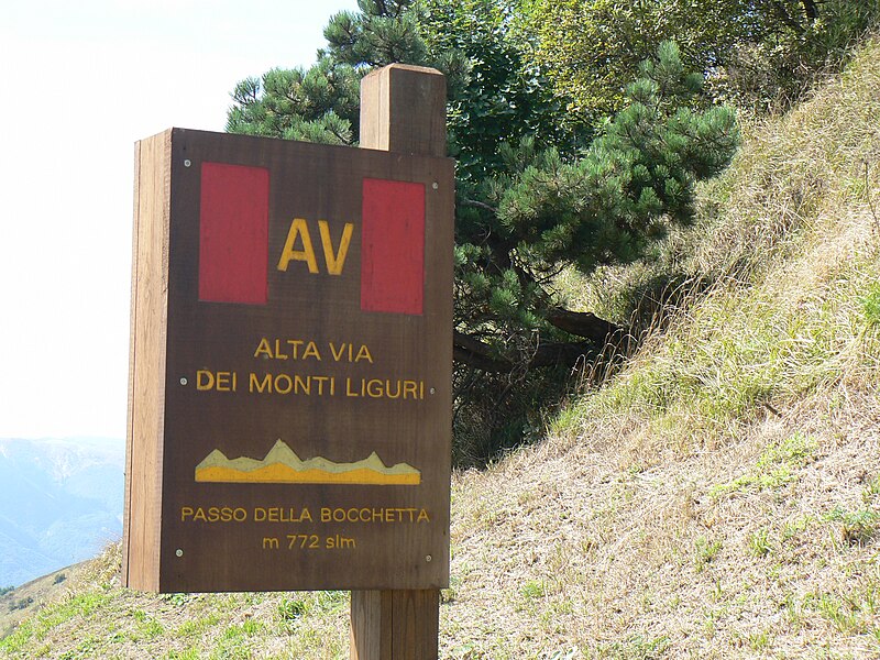 File:AVML Bocchetta.jpg