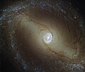 NGC 1433 taken by (LEGUS).[7]