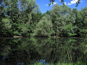 Fluss Pegnitz: Namensdeutung, Geographie, Geschichte