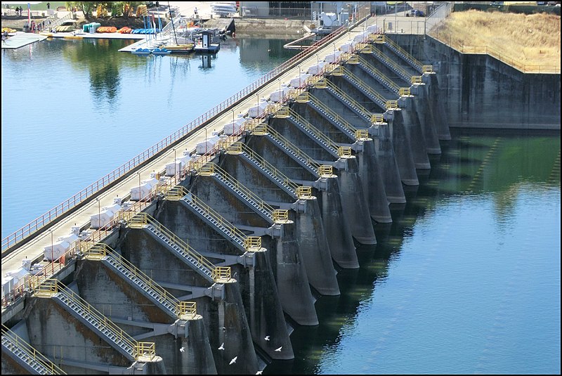 File:Am. River at Nimbus Dam 956 - panoramio.jpg