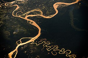 Amazon River - 2018.jpg