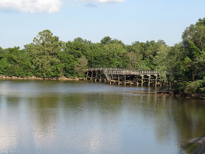 File:Anacostia River at Heritage Island - Flickr - treegrow.jpg