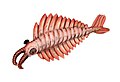 Anomalocaris, British Columbia, Middle Cambrian