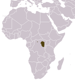Мапа поширення виду Genetta piscivora