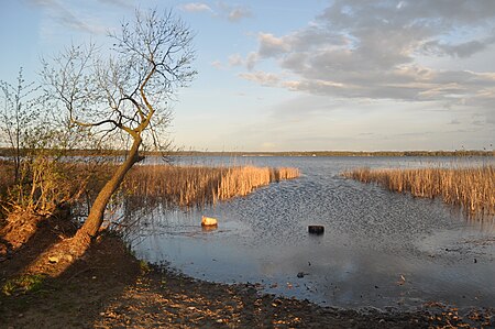 Arendsee, nördliche Uferzone 2