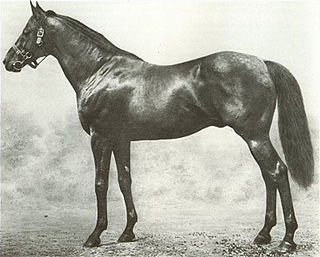 <span class="mw-page-title-main">Ayrshire (horse)</span> British-bred Thoroughbred racehorse