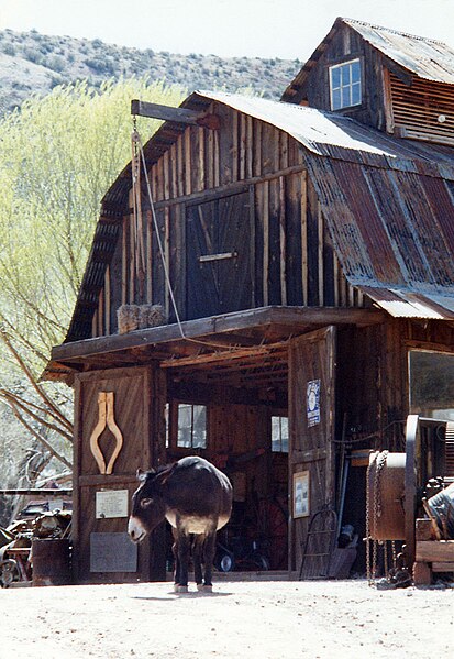 File:Barn and Donkey - Jerome, Arizona.jpg