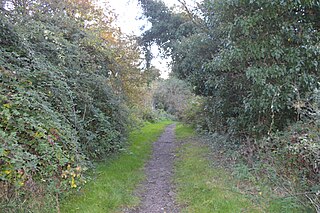 <span class="mw-page-title-main">Barnwell West</span> Nature reserve in Cambridge, UK