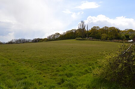 Basildon Meadows 2