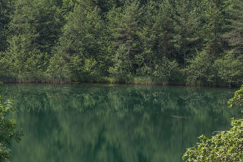 File:Bassgeigensee - Dobeinitz Kärnten-9194-HDR.jpg