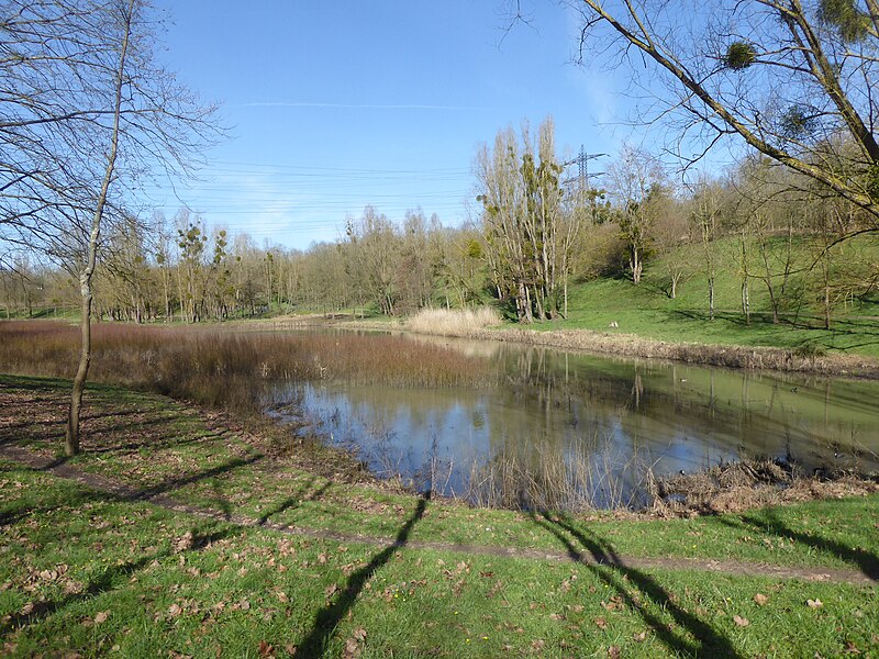 File:Bassin des Damoiseaux (2).jpg