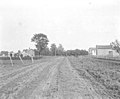 Thumbnail for File:Bayshore Corners, Oregon, Ohio, 1894 - DPLA - 9f7fa85b7518e797c44dceb6b632f0c0.jpg