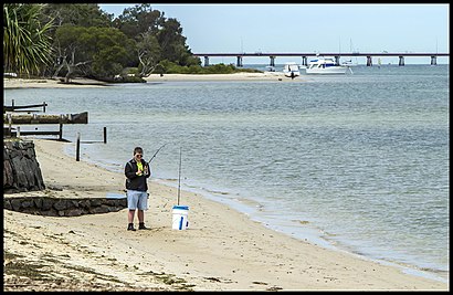 How to get to Banksia Beach with public transport- About the place