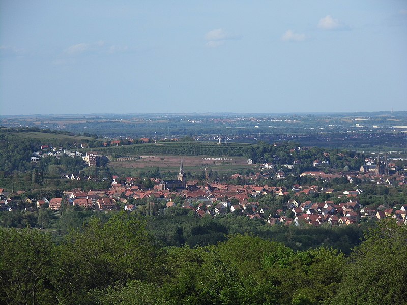 File:Bernardswiller - panoramio.jpg