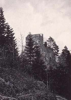 Imagen ilustrativa del artículo Château de Bilstein