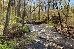 Черна река, окръг Морис, Ню Джърси - април 2019.jpg