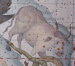 Representación del Taurus Poniatovii.