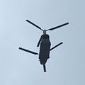 Boeing CH-47 Chinook 1002.jpg