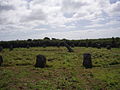 Image 13Boscawen-Un stone circle looking north (from Culture of Cornwall)