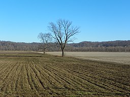 Brazeau Bottoms, Perry County, Missouri, Bottomland im Winter.jpg