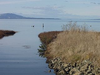 Dotson Family Marsh