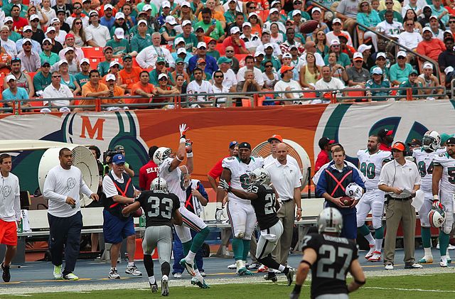 Brian Hartline in the game against the Oakland Raiders, September 16