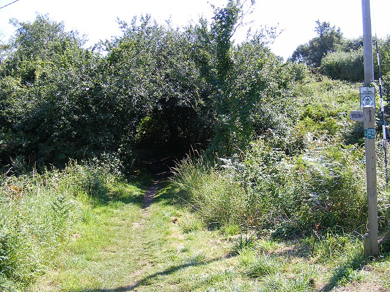 File:Bridleway off Palmers Lane - geograph.org.uk - 2580246.jpg