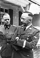 Bundesarchiv Bild 101III-Alber-064-27A, Heinrich Himmler.jpg