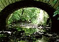 Under bridge at Burn Bridge, 13.06.09