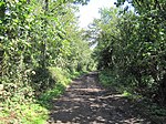 Burtonhole Lane and Pasture