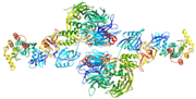 Vignette pour Caséine kinase 1 alpha