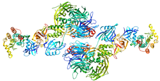<span class="mw-page-title-main">Casein kinase 1, alpha 1</span> Protein-coding gene in the species Homo sapiens