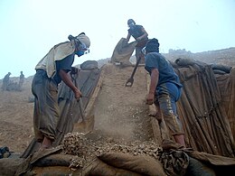Campañeros - Trabajadores del Guano de Isla del Perú.JPG