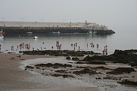 Pescadores de moluscos en el puerto de Candás