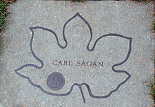 Stone dedicated to Sagan in the Celebrity Path of the Brooklyn Botanic Garden