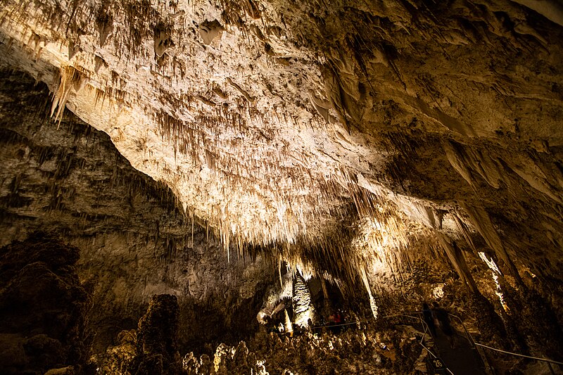 File:Carlsbad Caverns National Park - 53197187061.jpg