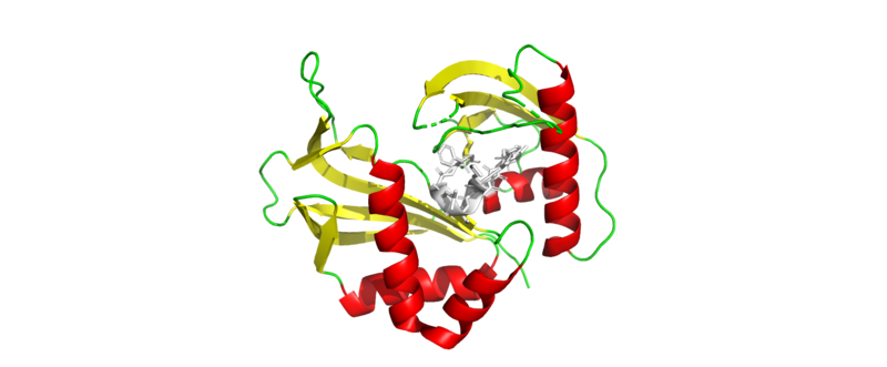 File:Cas6 crystal glycine-rich bucle.png