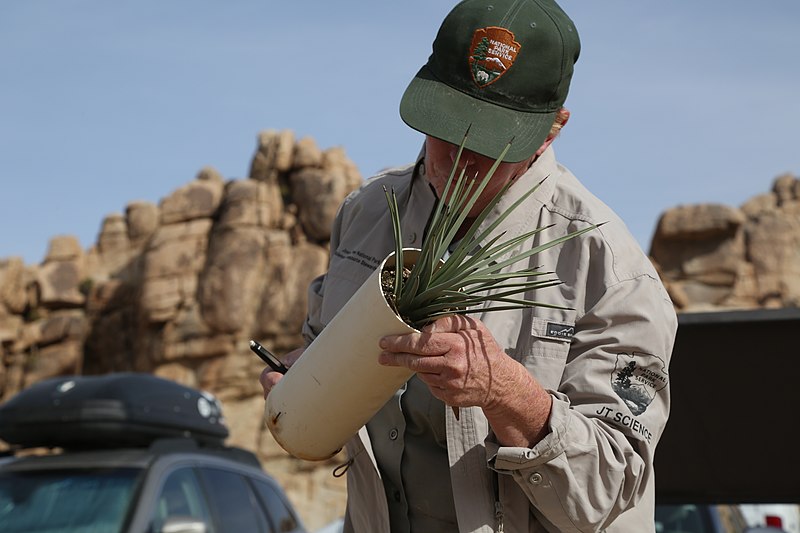 File:Cataloging native plants (38649358706).jpg