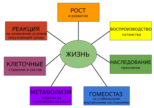 File:Characteristics of life-ru.svg