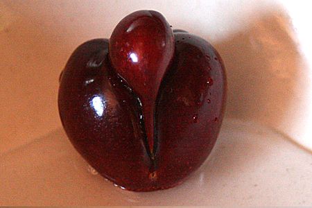 Tập_tin:Cherry_IMG_2655.jpg