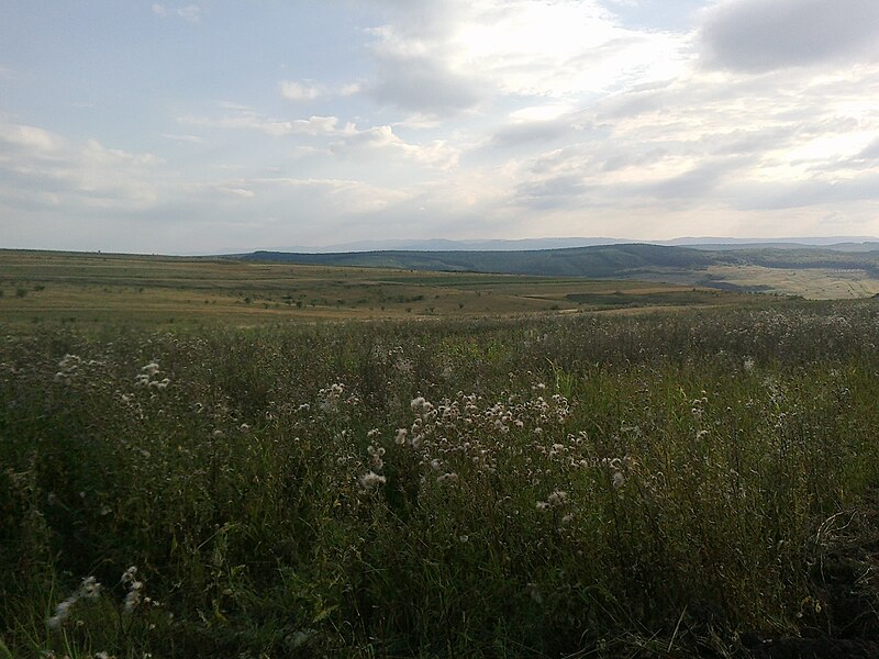 File:Chinteni, Romania - panoramio (32).jpg