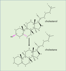 Cholesterol degrades to cholestane by loss of OH functional group and saturation of double bond (indicated in pink). Stereochemistry of the molecule is maintained in this degradation. CholestaneDiagenesis3.png