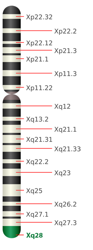 Xq28