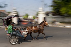 Cikar Wisata Alun-Alun Selatan Jogjakarta