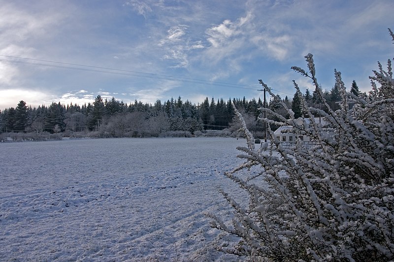 File:Cokildarewinter.jpg