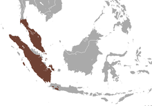 Common Treeshrew area.png