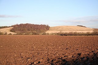 Costhorpe Human settlement in England