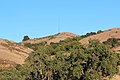Coyote Peak - panoramio.jpg